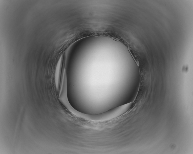 X0000091090033200708131329