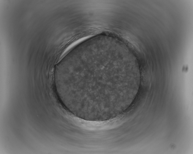 X0000091090034200708131329