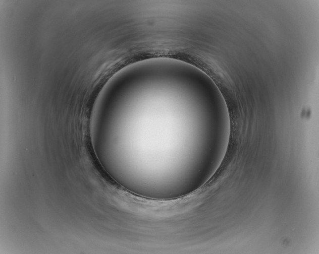 X0000091090035200708131329
