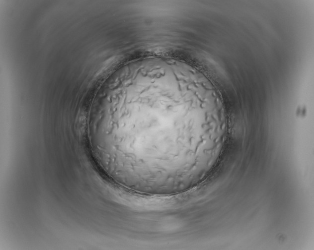 X0000091090036200708131329