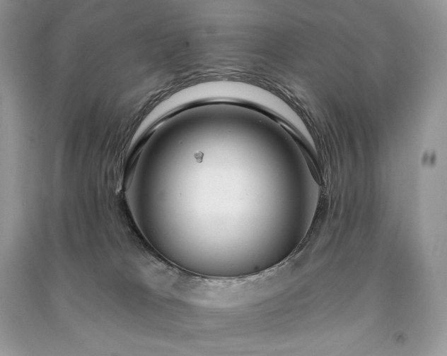 X0000091090037200708131329