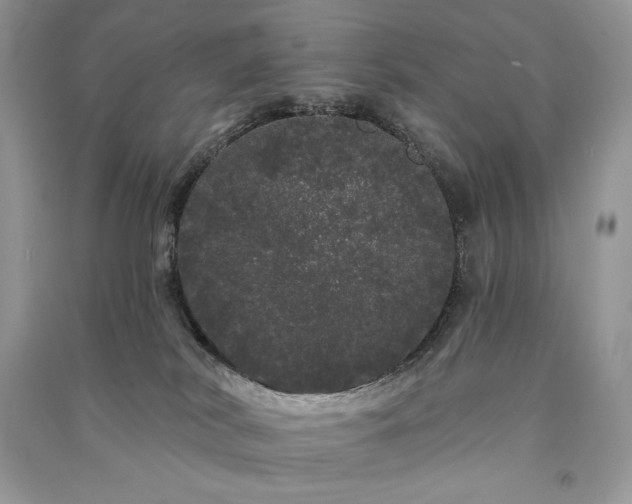 X0000091090038200708131329