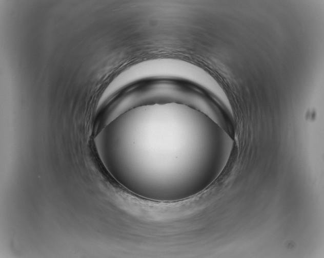 X0000091090039200708131329