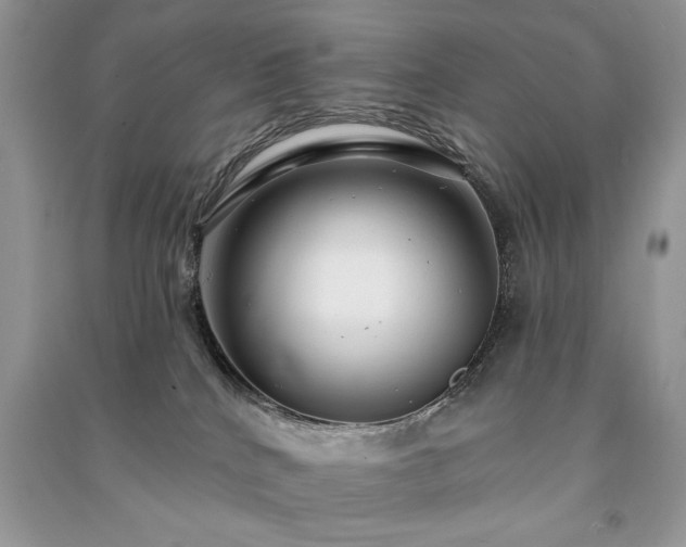 X0000091090040200708131329