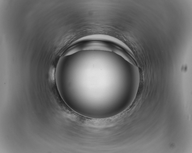 X0000091090041200708131329