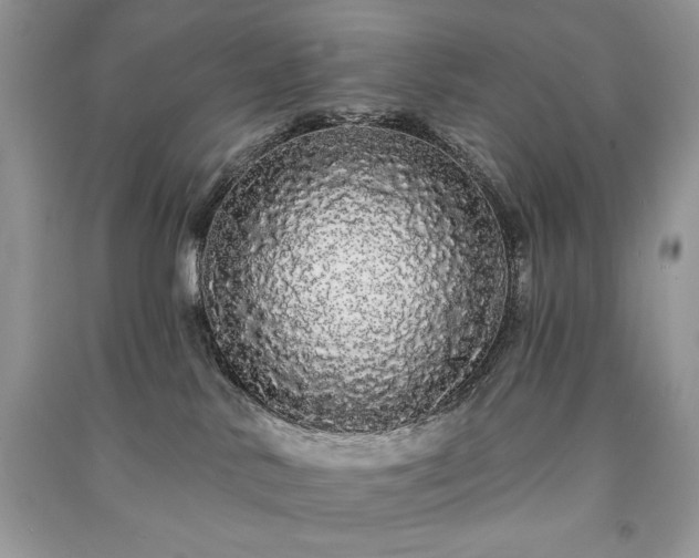 X0000091090042200708131329