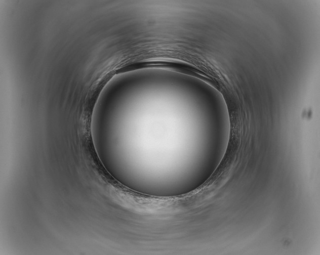 X0000091090044200708131329