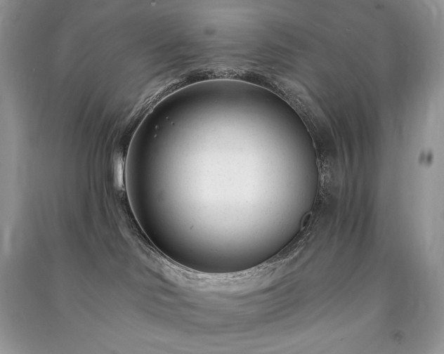 X0000091090046200708131329