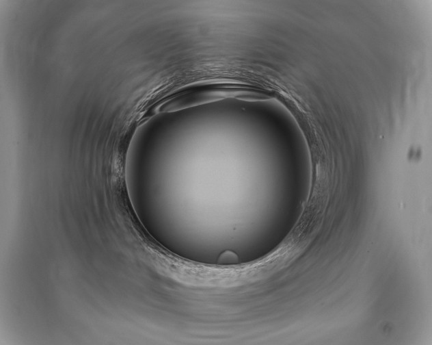 X0000091090048200708131329
