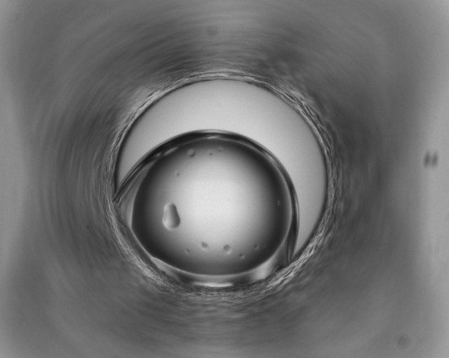 X0000091090049200708131328