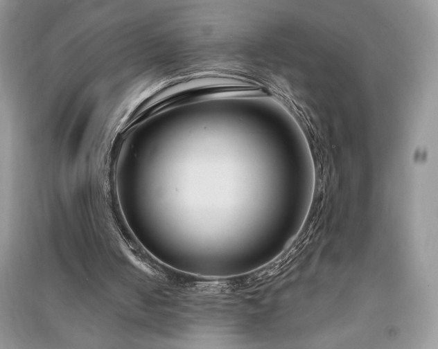 X0000091090050200708131328
