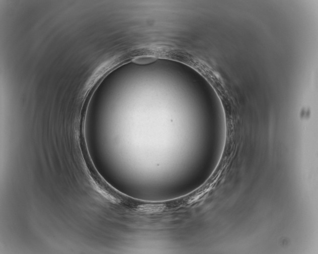 X0000091090051200708131328