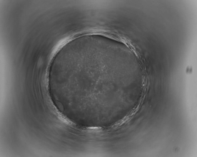 X0000091090053200708131328