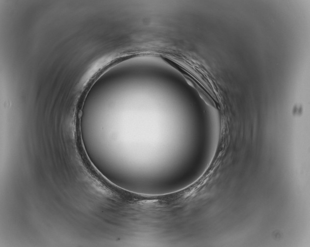 X0000091090054200708131328
