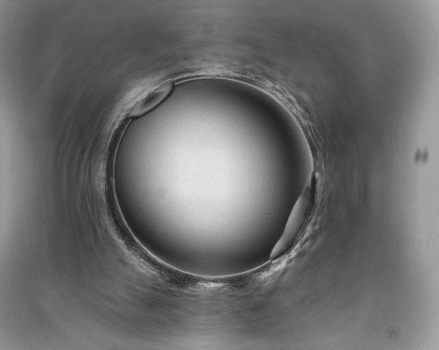 X0000091090055200708131328