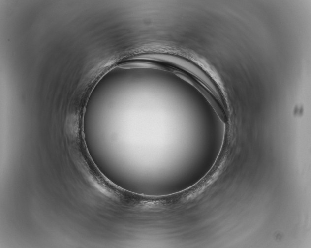 X0000091090057200708131328