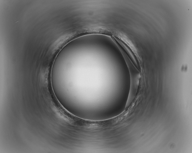 X0000091090058200708131328