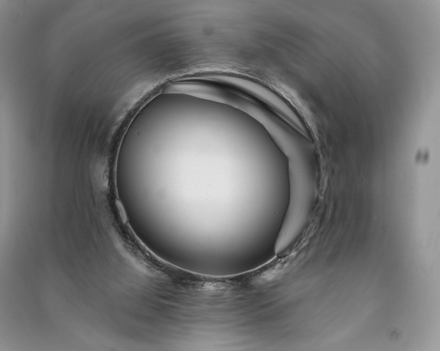 X0000091090060200708131328