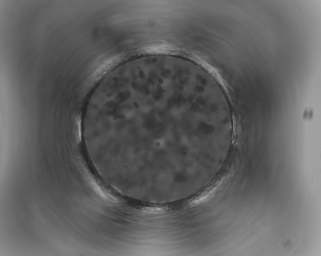X0000091090061200708131328