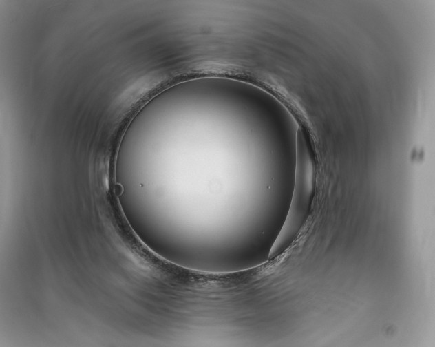 X0000091090062200708131328