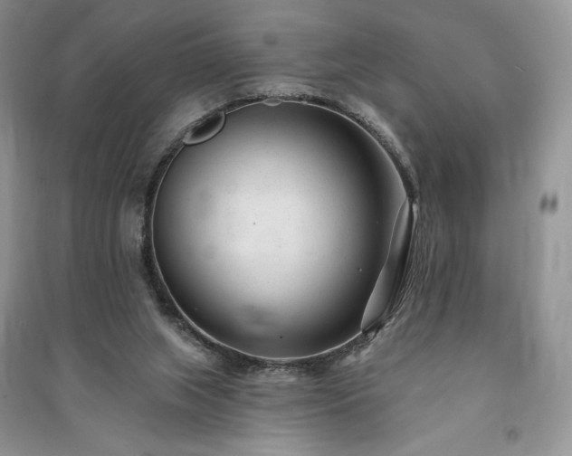 X0000091090063200708131328