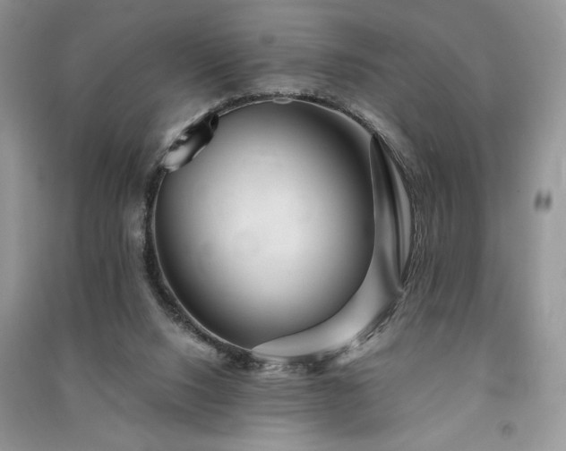 X0000091090064200708131328