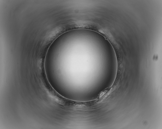 X0000091090066200708131328