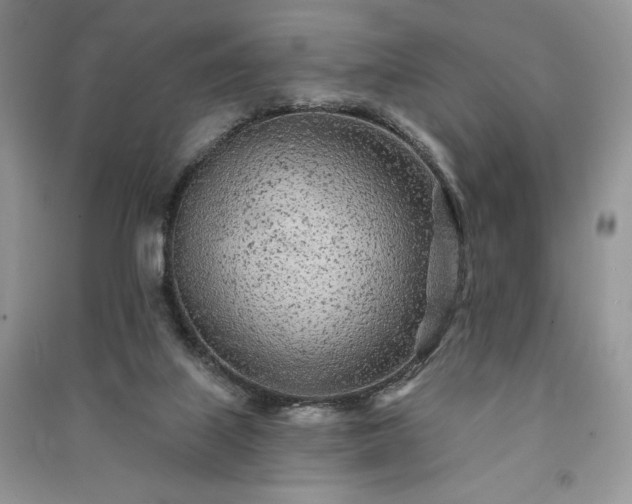 X0000091090067200708131328