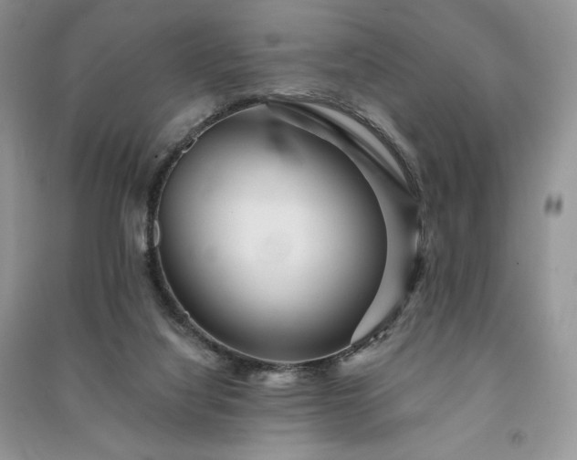 X0000091090068200708131328