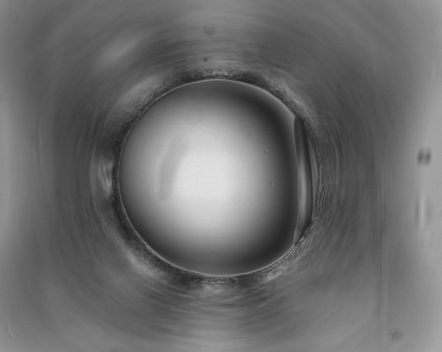 X0000091090070200708131328