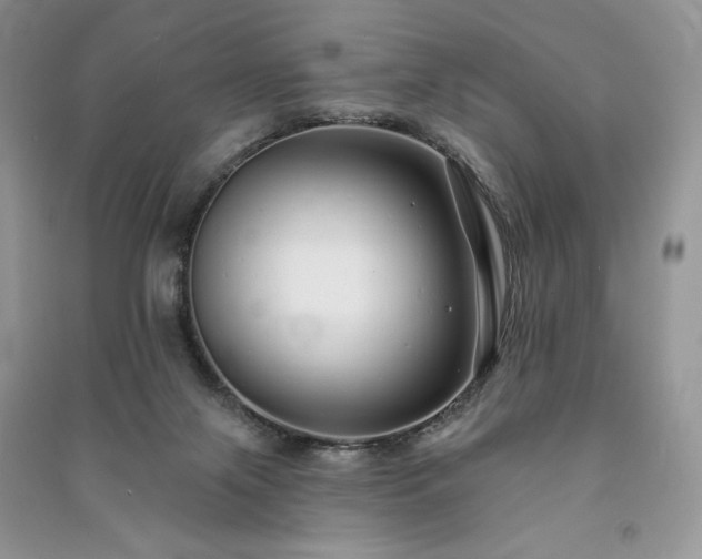 X0000091090071200708131328