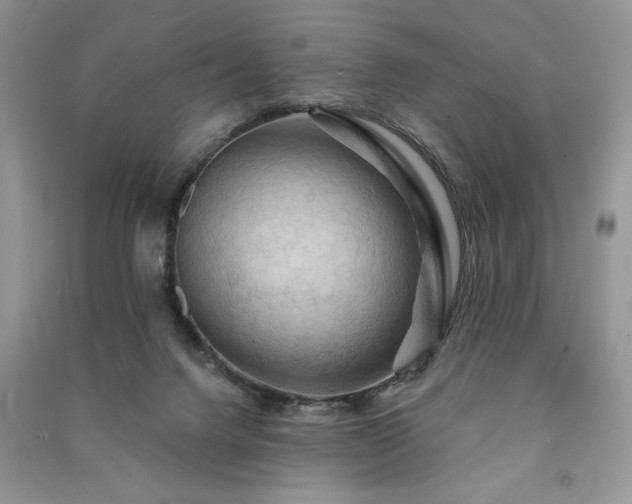 X0000091090072200708131328