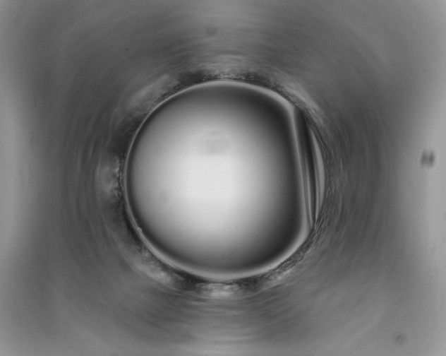X0000091090073200708131328