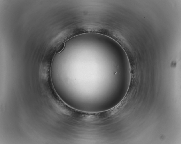 X0000091090074200708131328