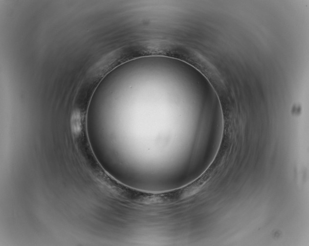 X0000091090075200708131329