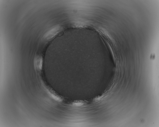 X0000091090076200708131329