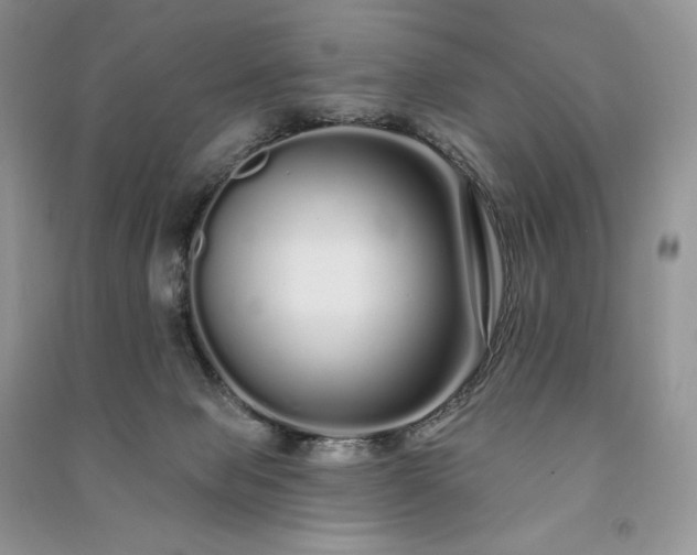 X0000091090077200708131329