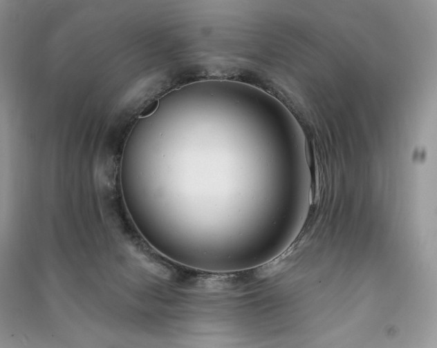 X0000091090078200708131329