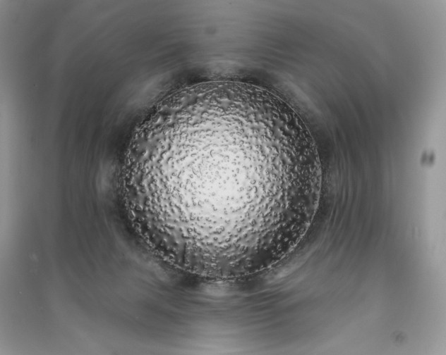 X0000091090079200708131329
