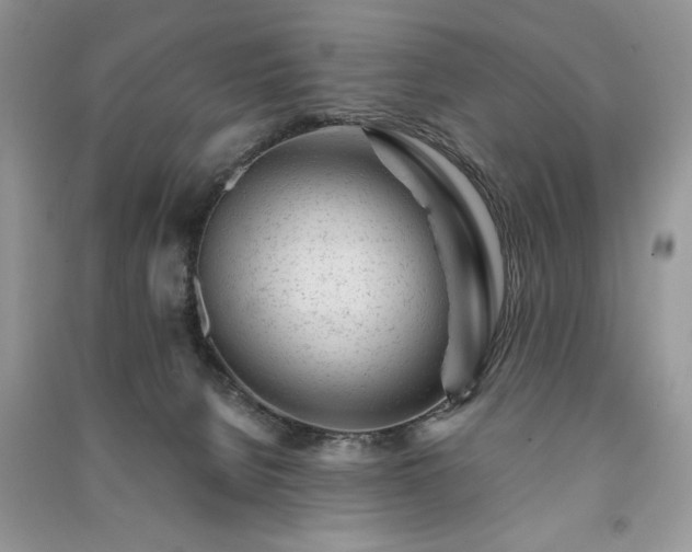 X0000091090080200708131329