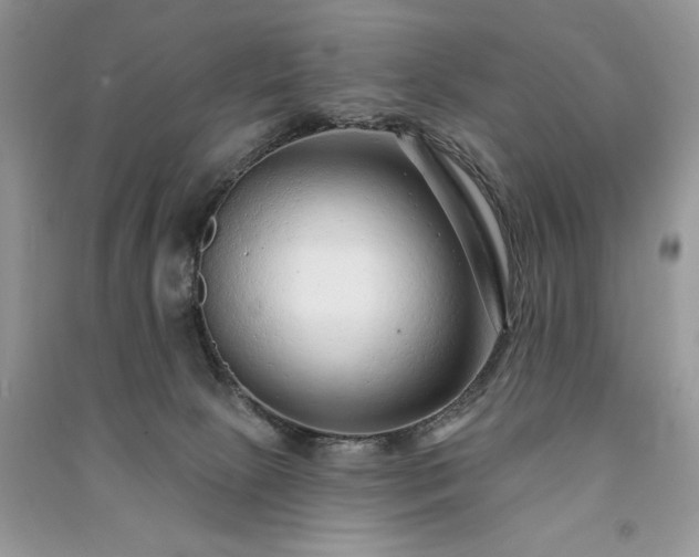 X0000091090081200708131329