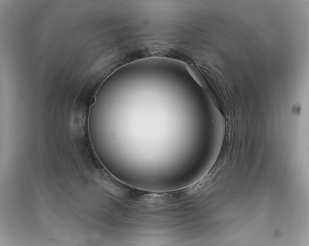 X0000091090082200708131329