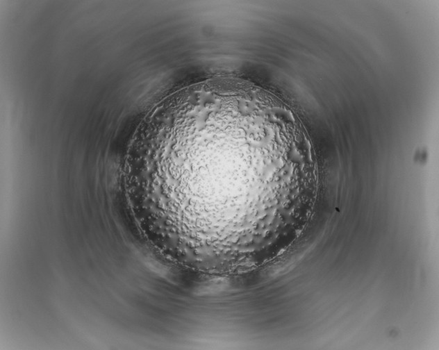 X0000091090083200708131329