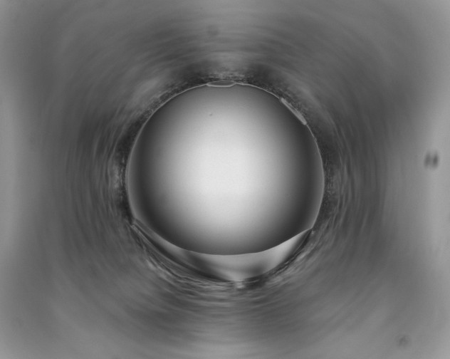 X0000091090084200708131329