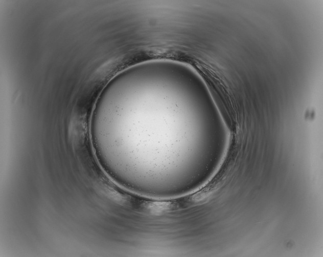 X0000091090085200708131329