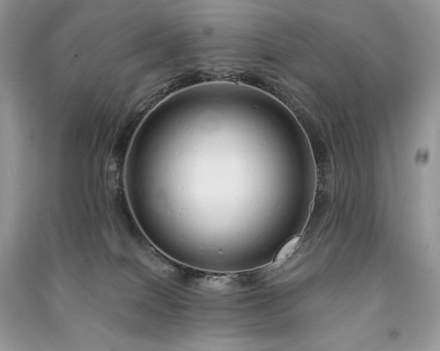 X0000091090086200708131329