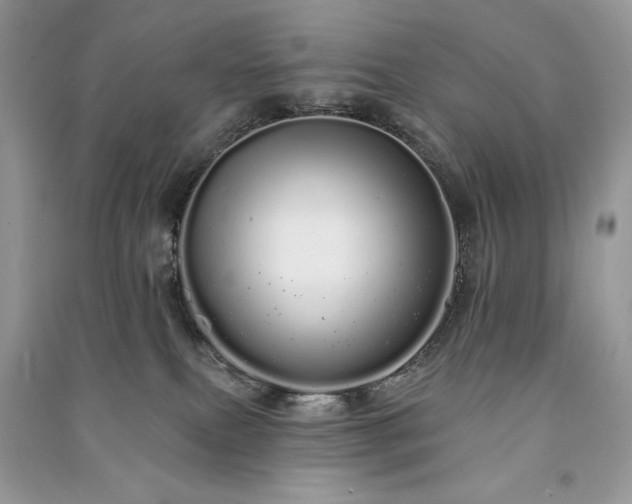 X0000091090087200708131329