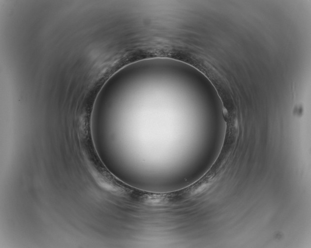 X0000091090088200708131329