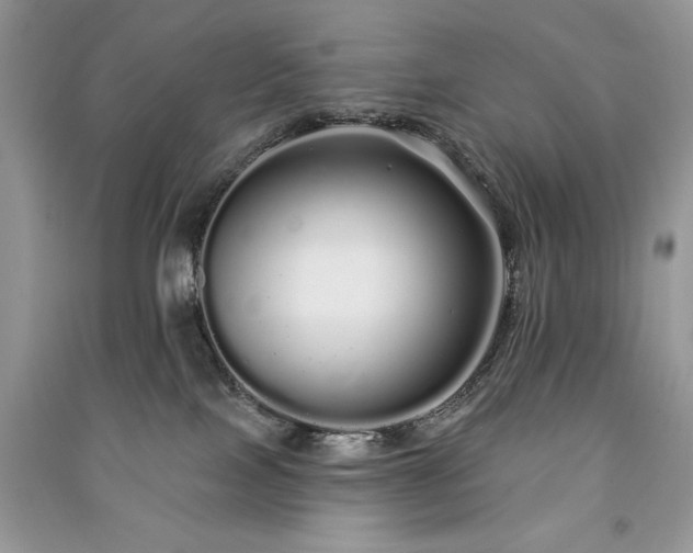 X0000091090089200708131329