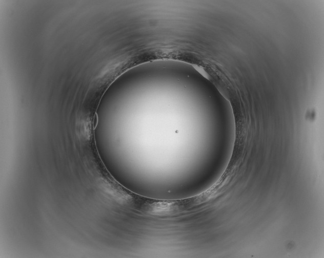 X0000091090090200708131329